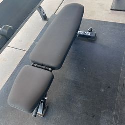 Rep Fitness Bench 