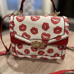 Aldo Hot Lips Lipstick Purse
