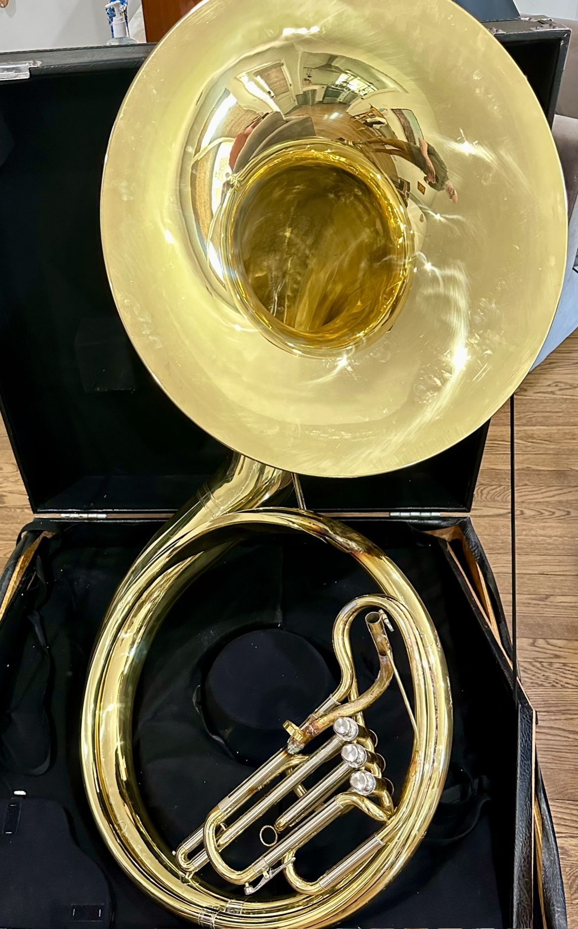 Student sousaphone