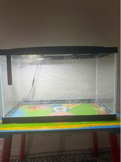10 gallon fish tank