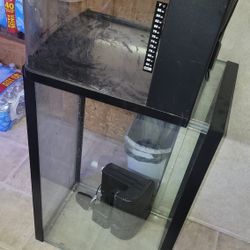 29 Gallon Aquarium With Filter 