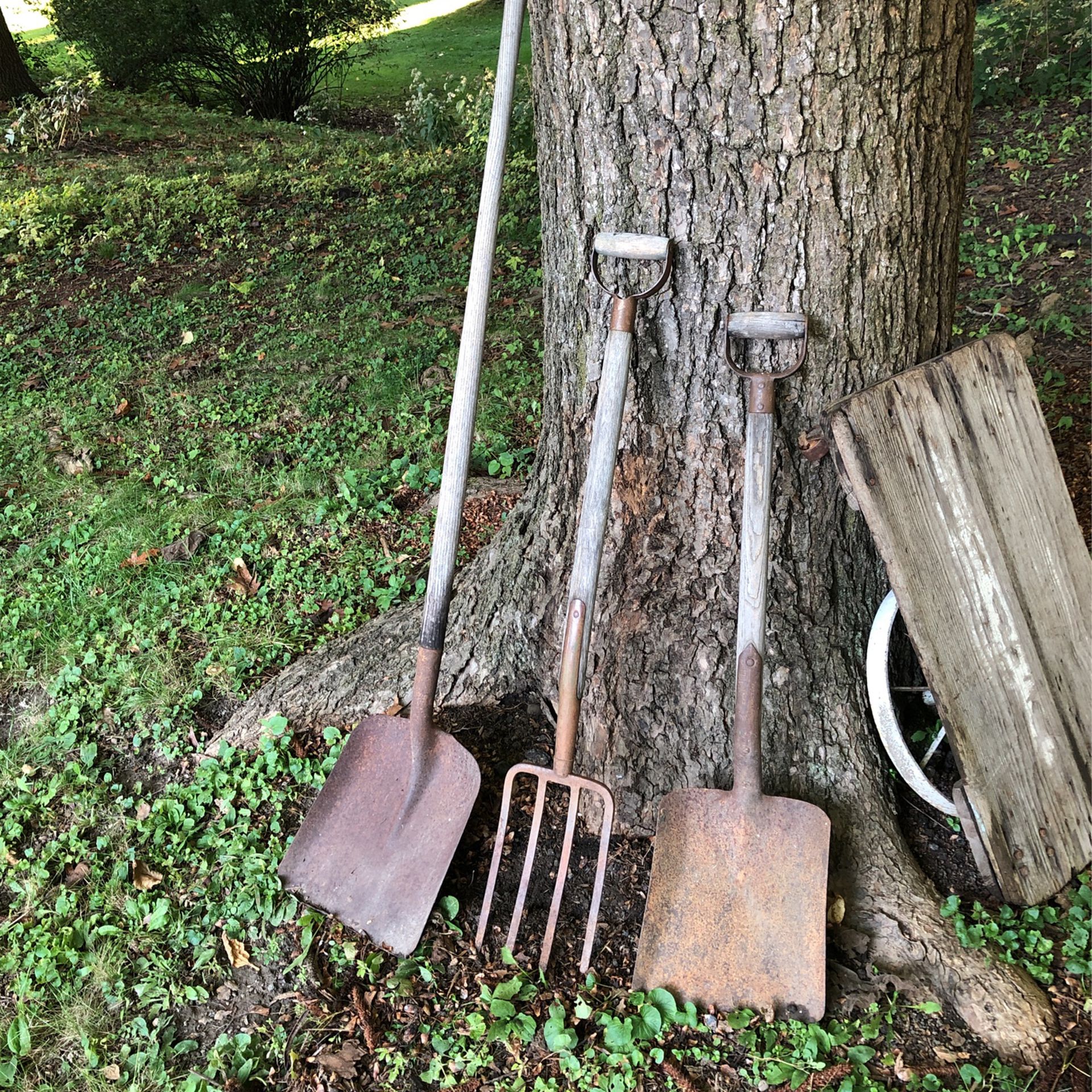 Antique Long Handle Shovel,smaller One,&  Pitch Fork