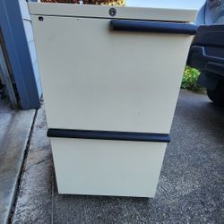 Rolling 2-Drawer Metal File Cabinet (Includes Folders) - $40