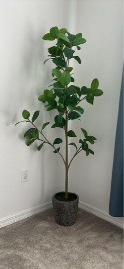 Tall Artificial Ficus Tree in Pot
