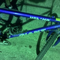 Giant Mountain Bike