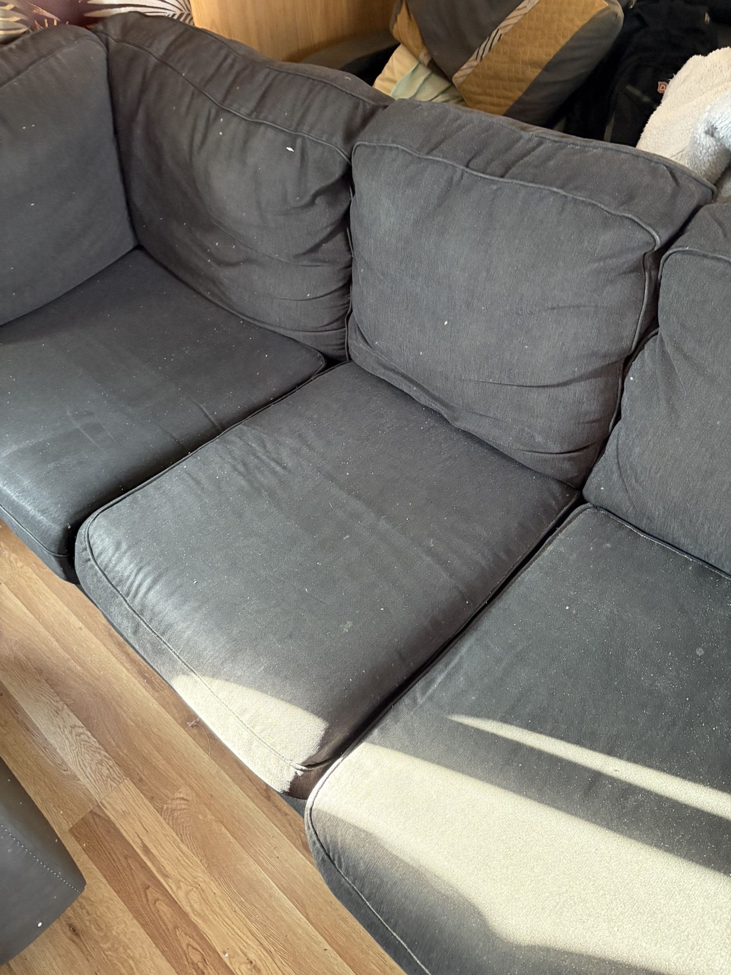 2 Year Old Gray Couch $150