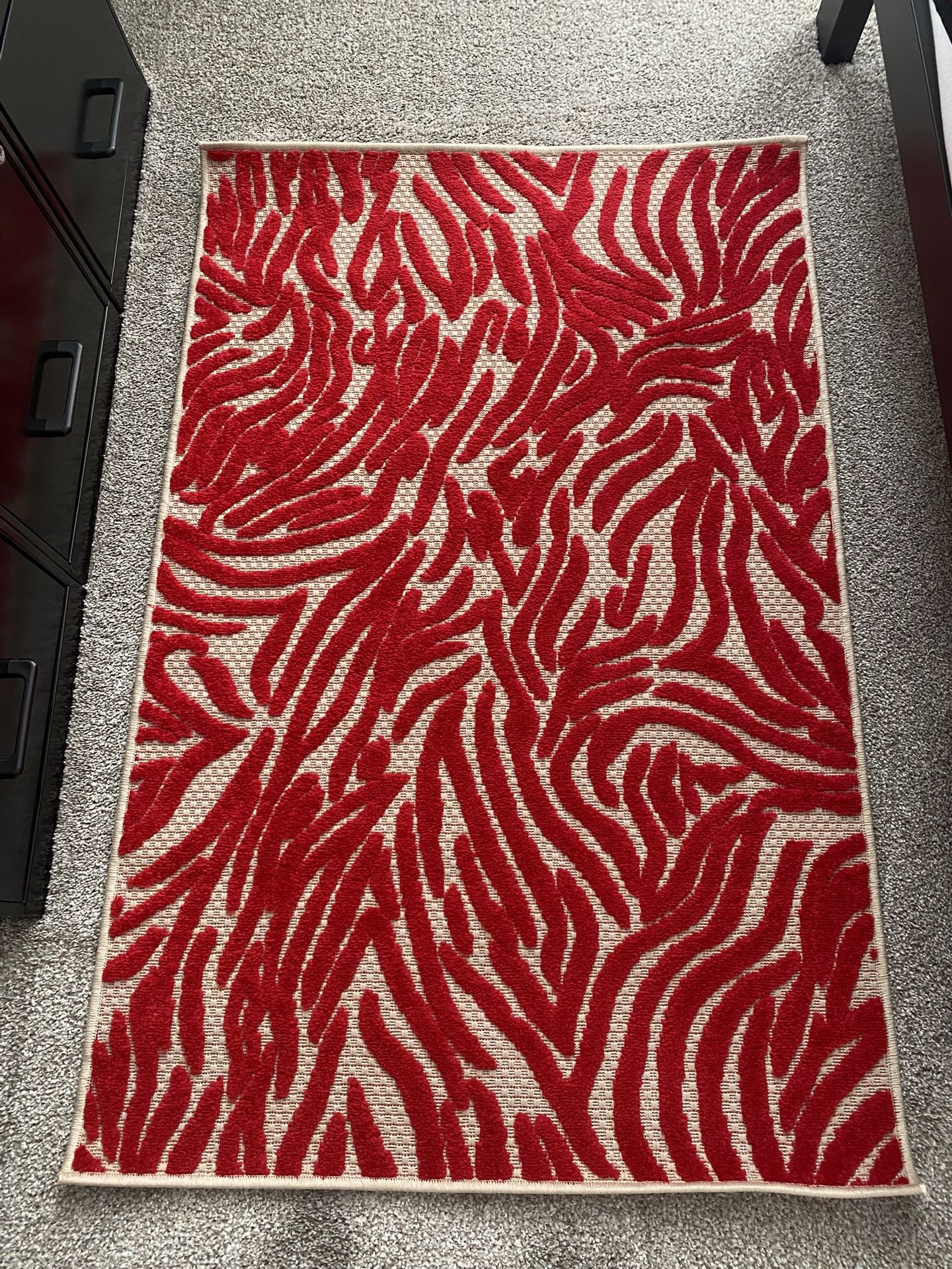 Red Zebra 🦓 Rug Indoor Outdoor 