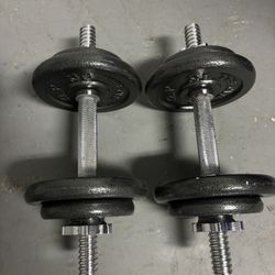 20lb Adjustable Dumbbell Pair