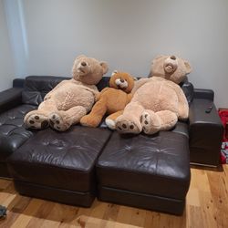 Huge Teddy Bears