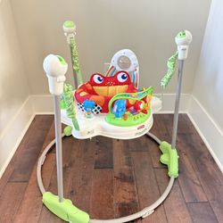 FisherPrice Bouncer