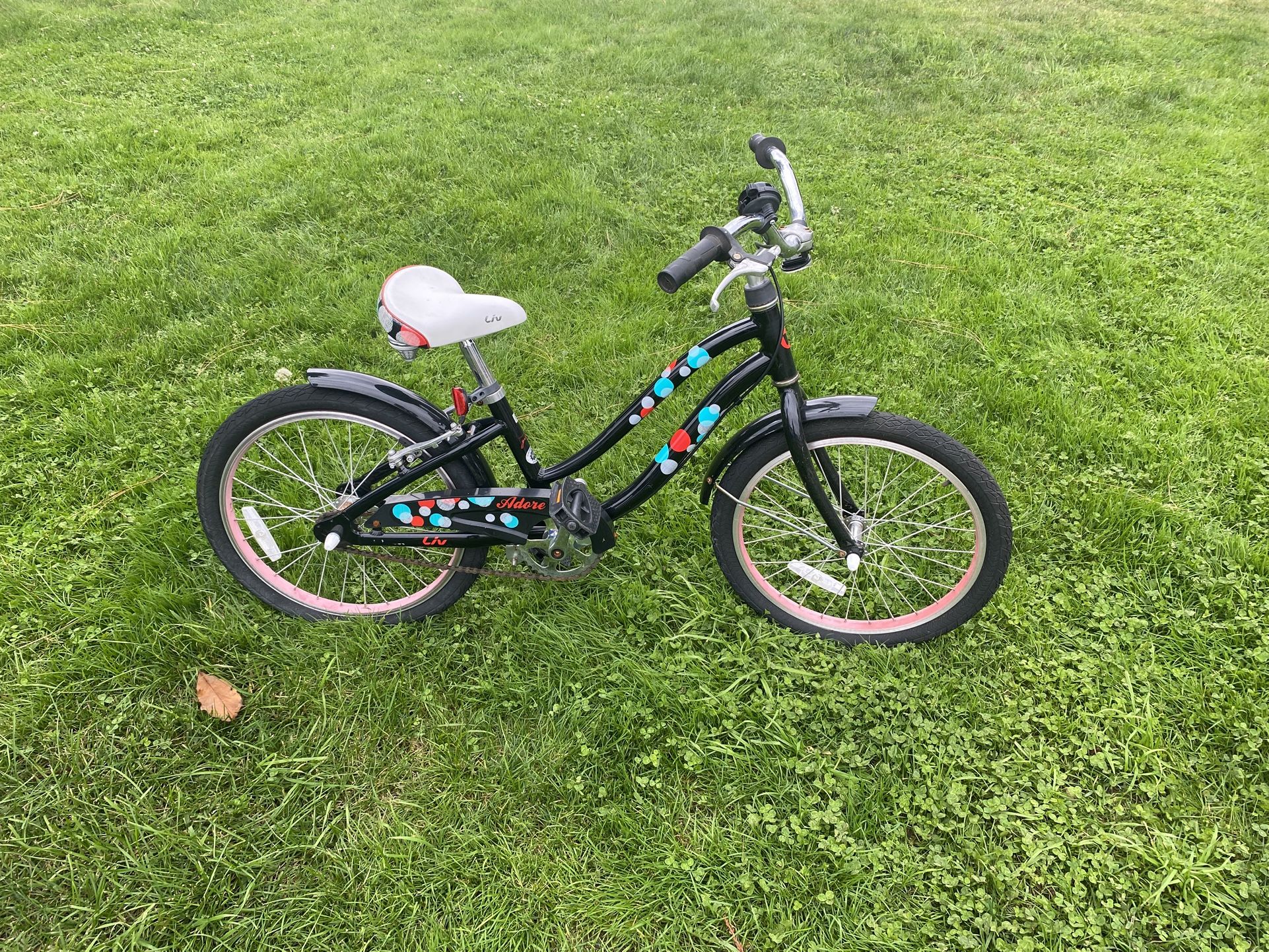 LIV 20 Inches Branded Bike