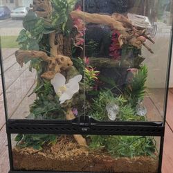 Exo Terra 18x18x24 Terrarium Kit