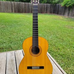 Takamine top g 124