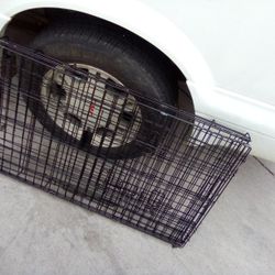 Large Dog Kennel 