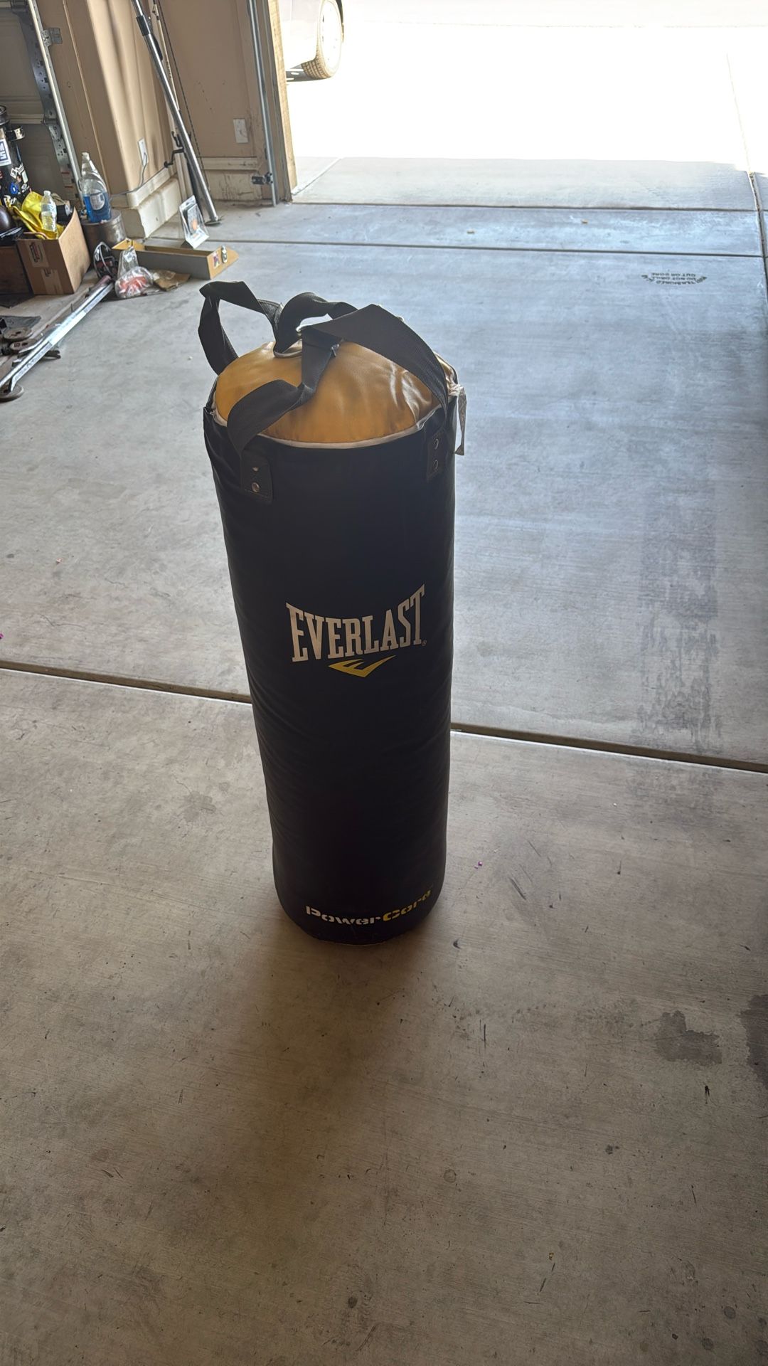 Everlast Punching Bag
