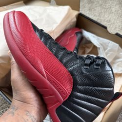 Jordan 12 Size 10.5