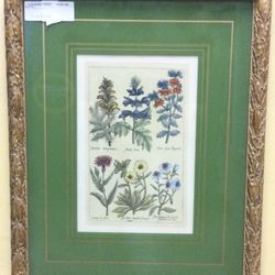 Botanical Practica Painting Left-Top Corner Chipped 