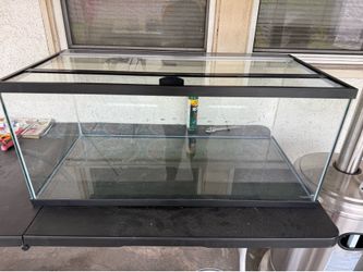40 gallon breeder tank w/ lid