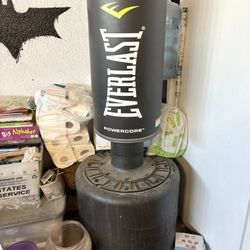 Punching Bag