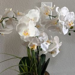 Fake Decorative Plant