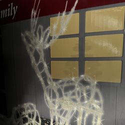 Raindear Lights 