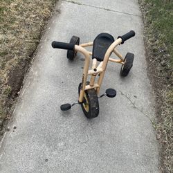 Lakeshore Tricycle Trike