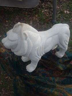 Clever Lion of Judah $100.00 cash only ( Serious Buyers Only) serious buyers only..Pick up in Dallas