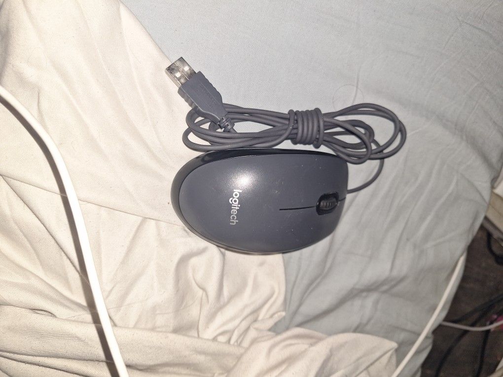 Mouse