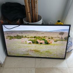Samsung Tv 40 Inch 