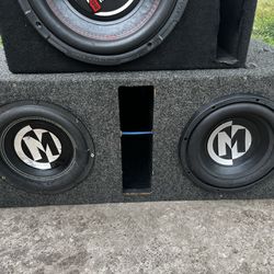 Selling My Memphis Subwoofers