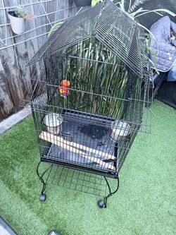 Large Black Bird Cage on Wheels