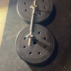 2 20 Pound Standard Plates With Single Adjustable Dumbbell Handle