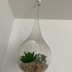 hanging plant without hook