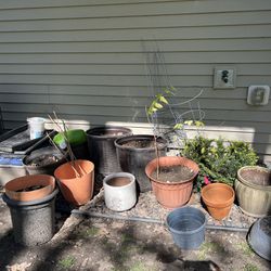 16 Flowering Pots + 4 Tomato Cages 