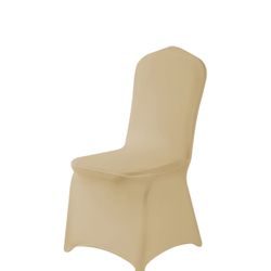 Champagne Color Chair Covers  