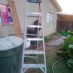 8ft Fiberglass Ladder 