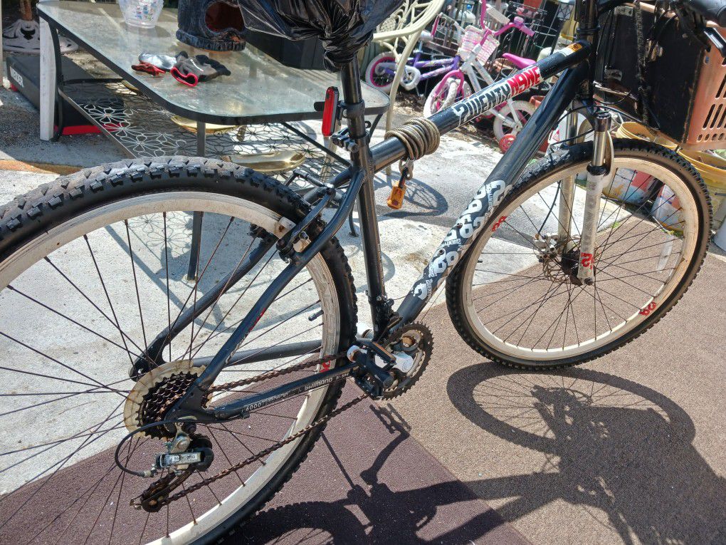 GENESIS Adult Bike 29" Wheels
