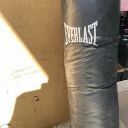 Everlast punching Bag 