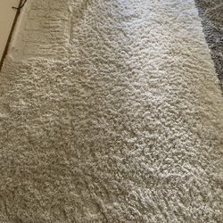 Cream 5x8 rug