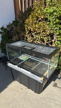 Reptile Tank