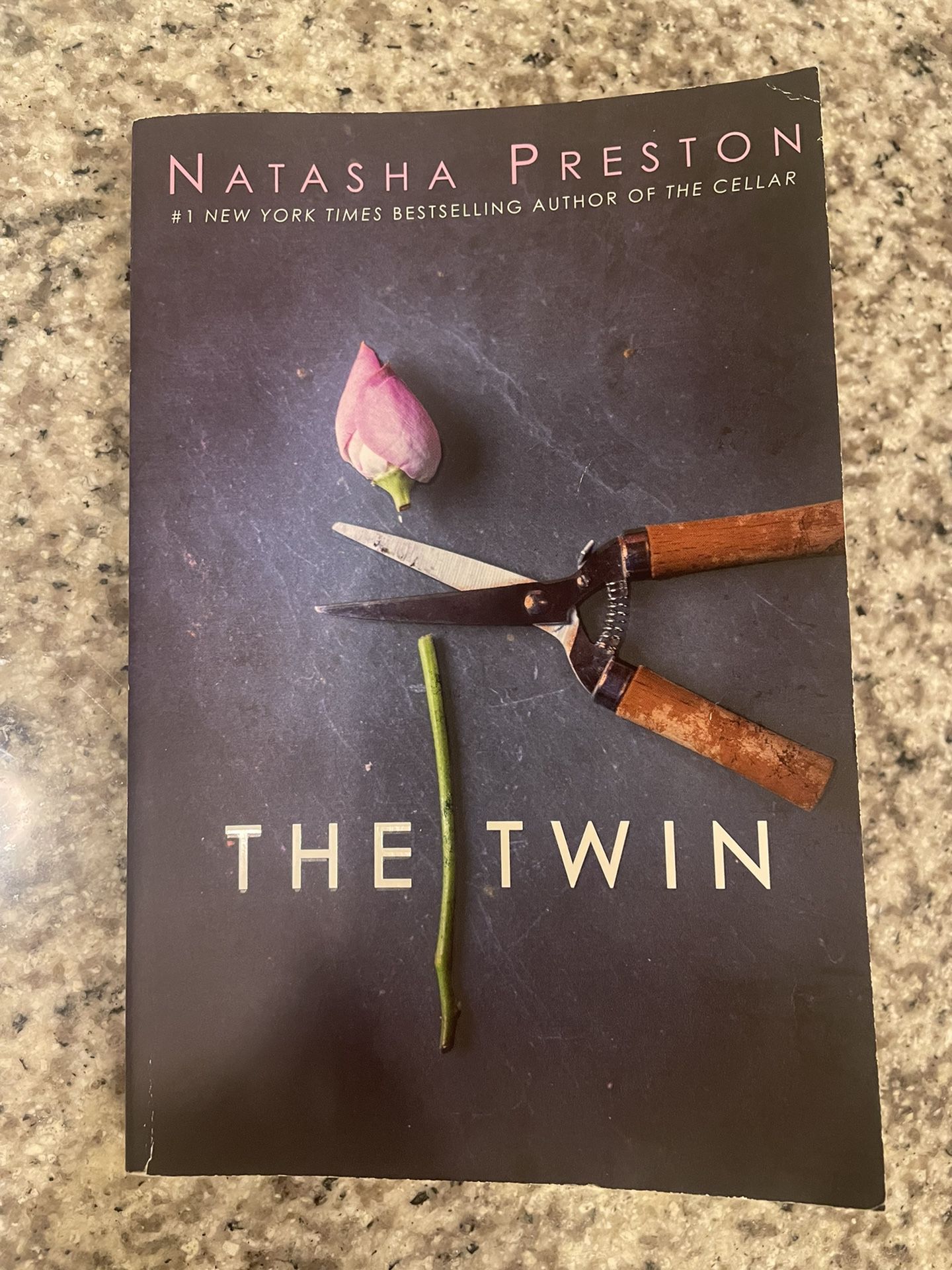 The Twin Book