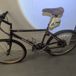 Diamond Back Arrival 18-Speed Mountain Bike