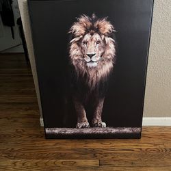 Canvas Prints