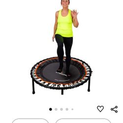 Rebounder/Trampoline 