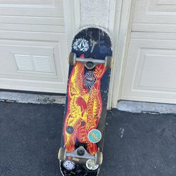 Rad Skateboard with Eagle Graphic