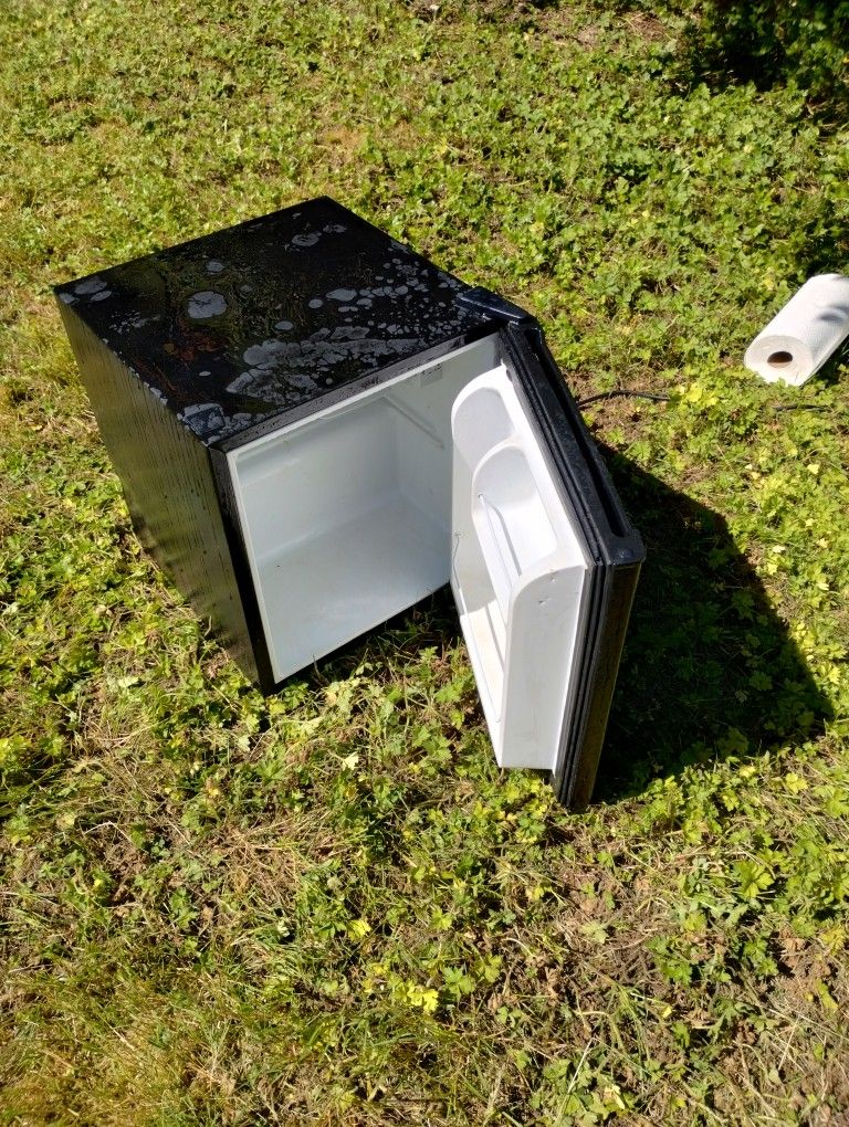 Mini Refrigerator Fridge (Sammamish)