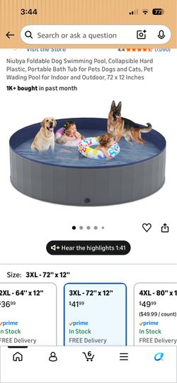 Dog swimming pool
