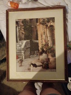 Framed Art Print Mediterranean Courtyard with Cats
