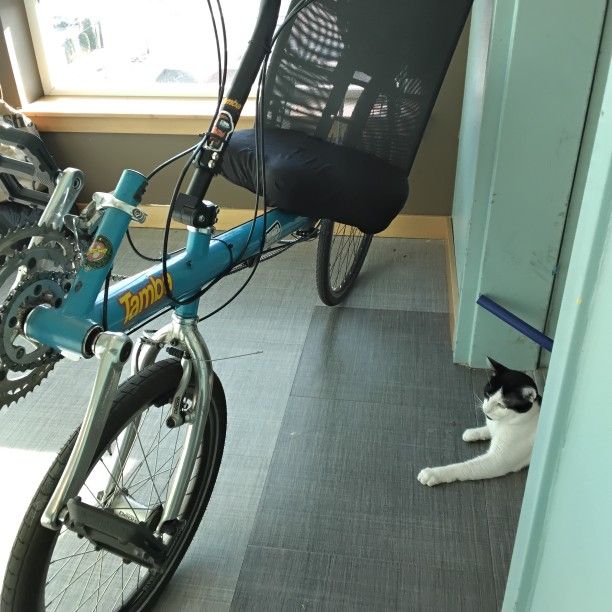 Bacchetta Bike