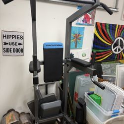 Pull Up And Dip Station